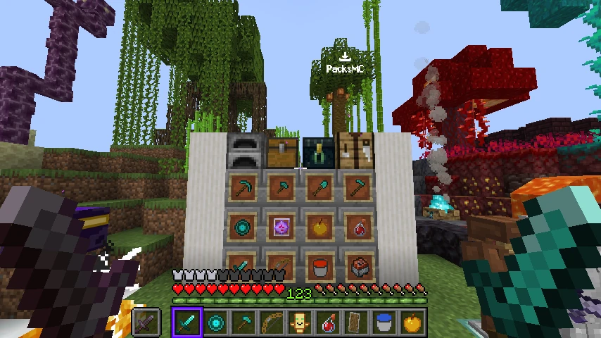 Clean CPVP 16x: showcase 5 of 5