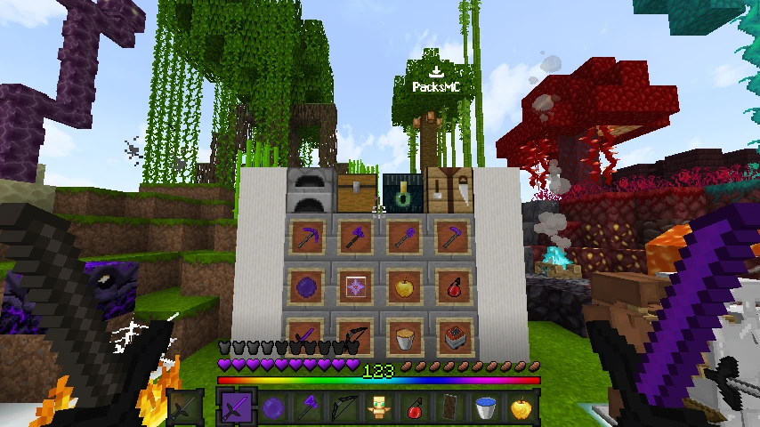 MaxHaxPax Mario v1.52 1.21.11: showcase 5 of 5