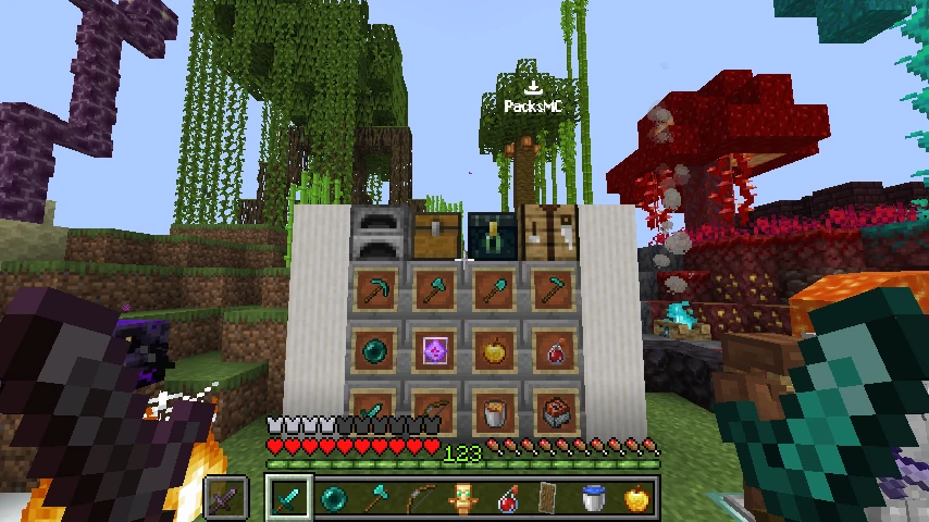 Ducky's Bedwar Pack: showcase 5 of 5