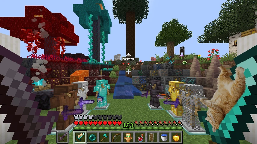 fat cat on diamond sword: showcase 2 of 5