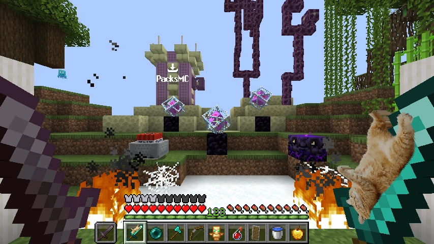 fat cat on diamond sword: showcase 4 of 5