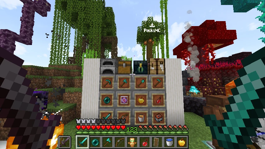 Wonder Default 1.21.11: showcase 5 of 5