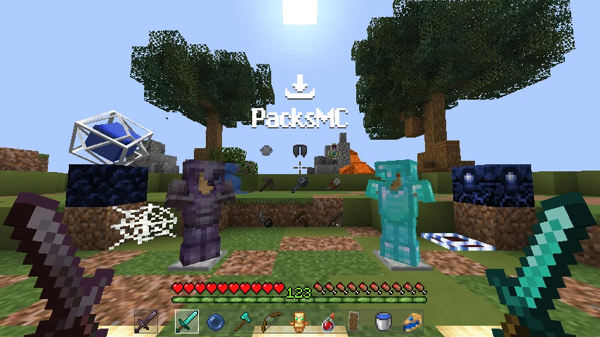 Blueberry Pack