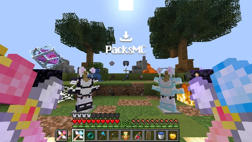 Maidcraft