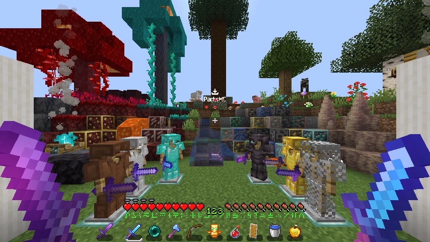 PigPackV6: showcase 2 of 5