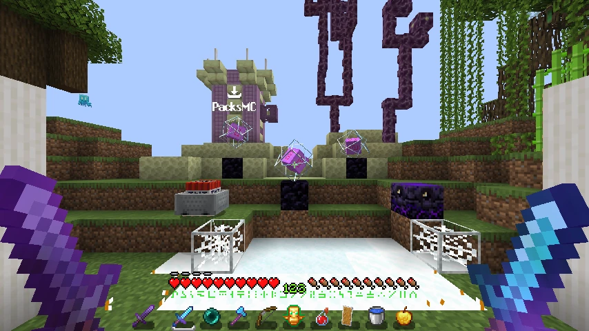 PigPackV6: showcase 4 of 5