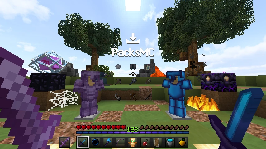 Pax10 Revamp converted