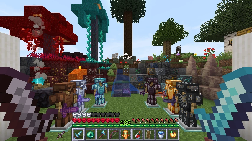Default 1.16.5 Edit: showcase 2 of 5