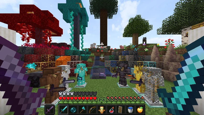 Miyroh Default SMP Pack: showcase 2 of 5
