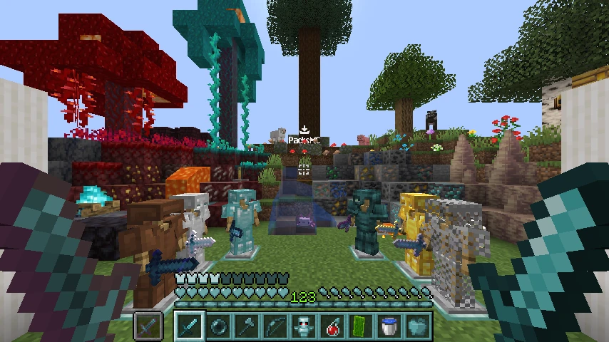 pioyx pvp: showcase 2 of 5