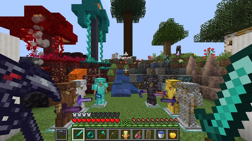 packsv: showcase 2 of 5