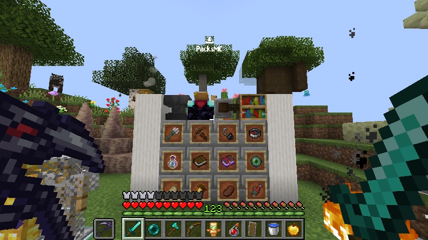 packsv: showcase 3 of 5