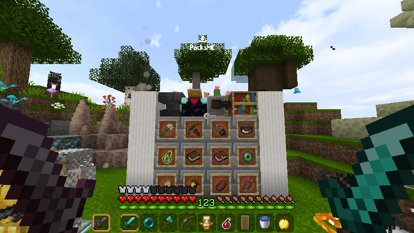 Pedroxnnzz Priv V1: showcase 3 of 5