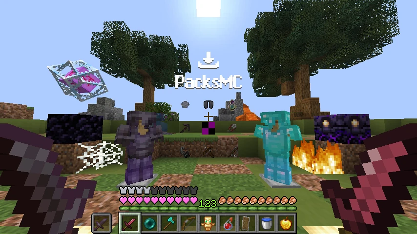 Shiney Advance Pack