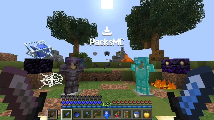 Mattoxs Basics SMP-PVP