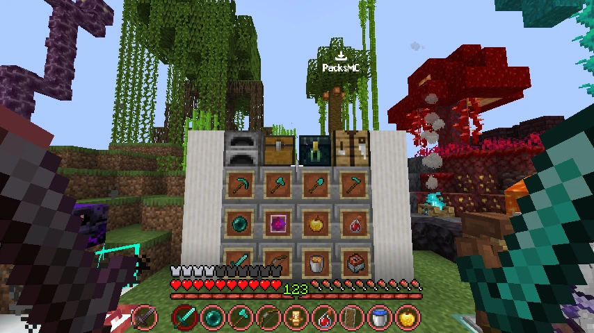 red cpvp 16x: showcase 5 of 5