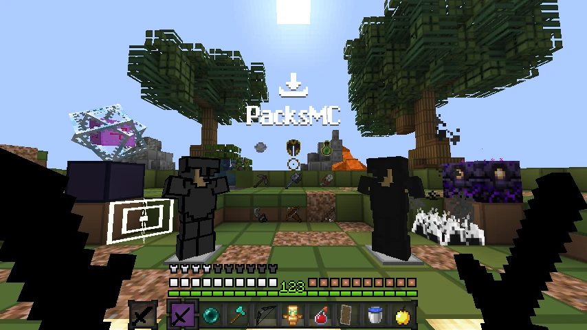 V1suals black private