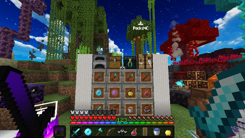 Witherz Texture Pack v2: showcase 5 of 5