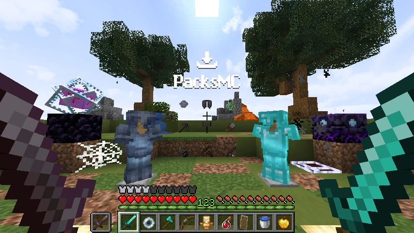 auroraprac private