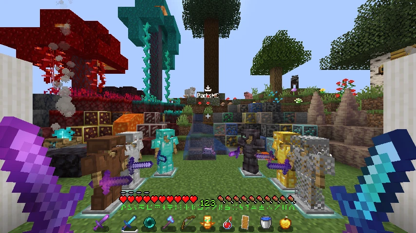 PigPackV6: showcase 2 of 5