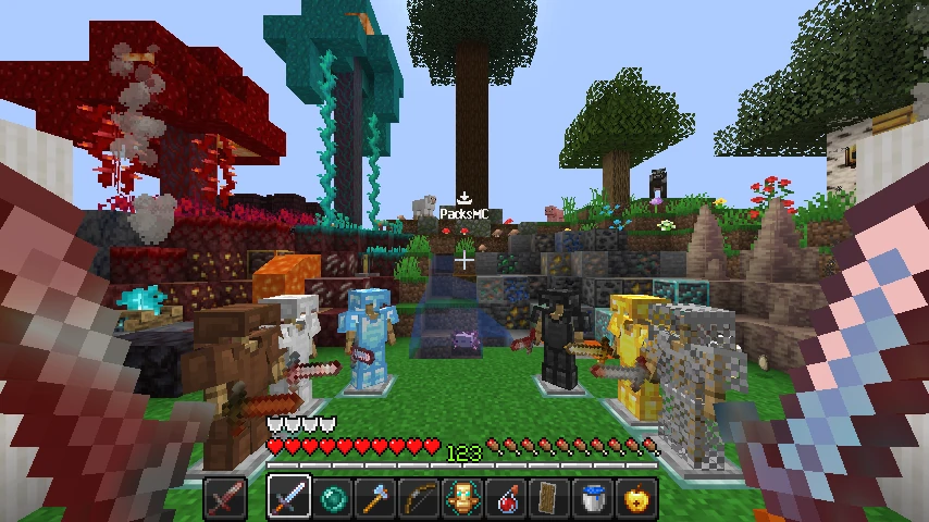 Rxcks PVP : showcase 2 of 5
