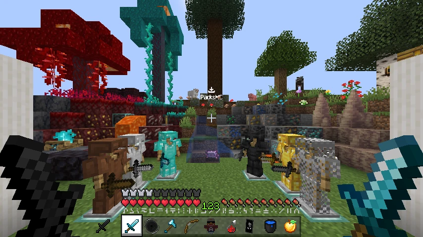 Axxin 25k Pack Hugo SMP: showcase 2 of 5