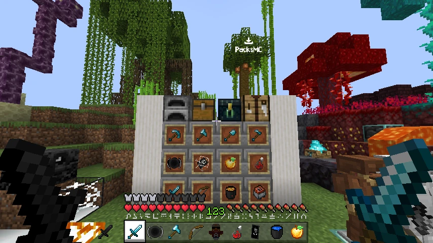 Axxin 25k Pack Hugo SMP: showcase 5 of 5
