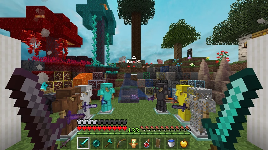 Gud1_ DiaSMP overlay: showcase 2 of 5
