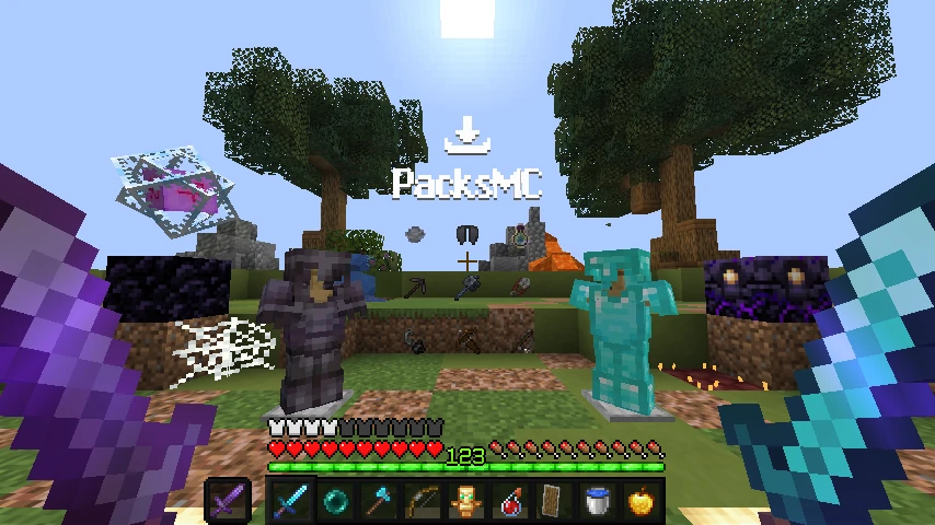 Enlock Overlay