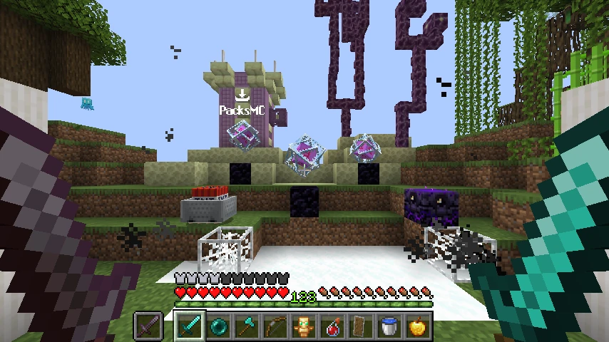 The Best Dia SMP Overlay: showcase 4 of 5