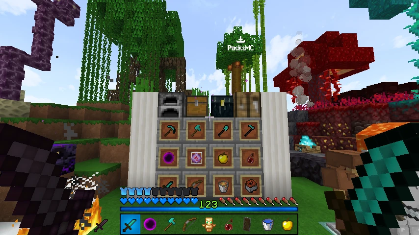 Tweety v.2.0 1.16+: showcase 5 of 5