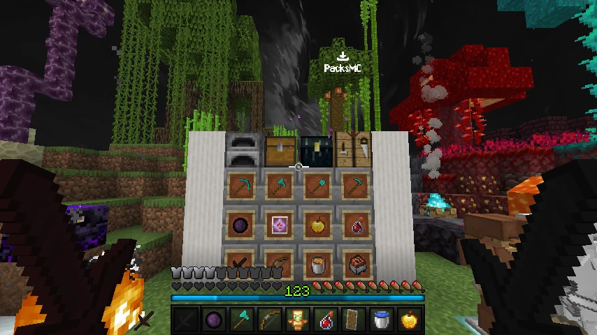 Pokemon Black 1.21.4: showcase 5 of 5