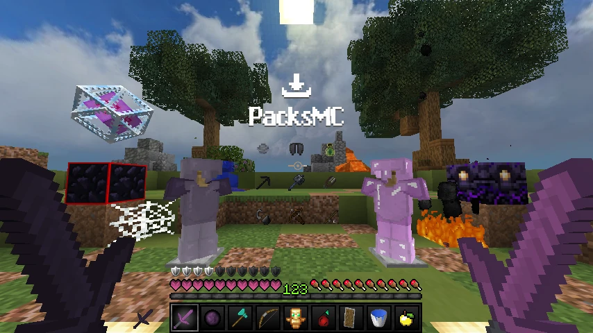 !       §5P0KEMON  §dPrivate