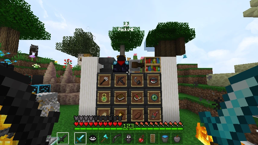Shadow 16x 1.19 converted: showcase 3 of 5