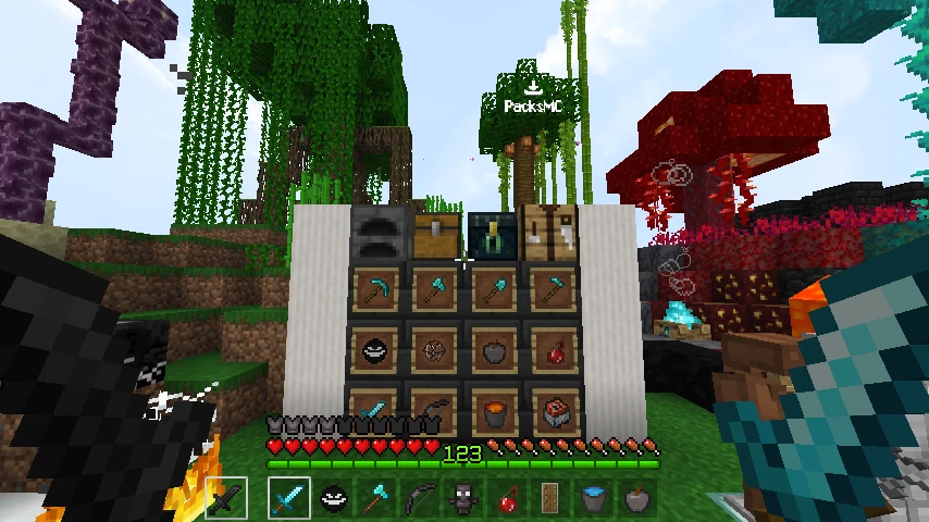 Shadow 16x 1.19 converted: showcase 5 of 5