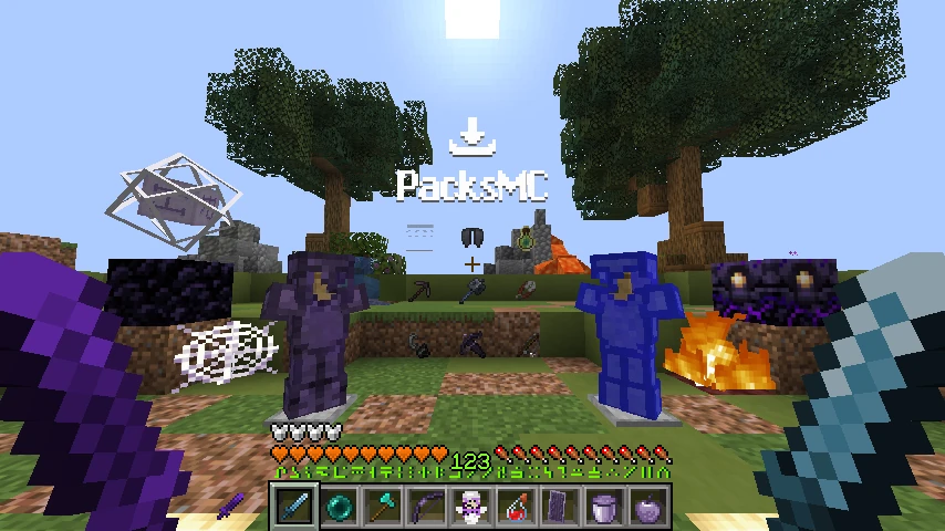 Cerplions TUFF pack