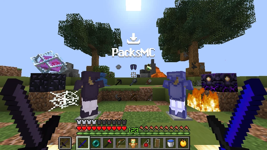 FlaShPack Overlay