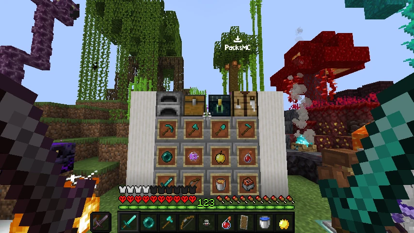 PacPack PP: showcase 5 of 5