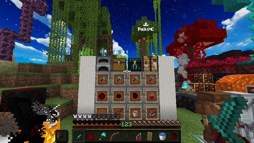 The BEST Lifesteal SMP Texture pack 1.19: showcase 5 of 5