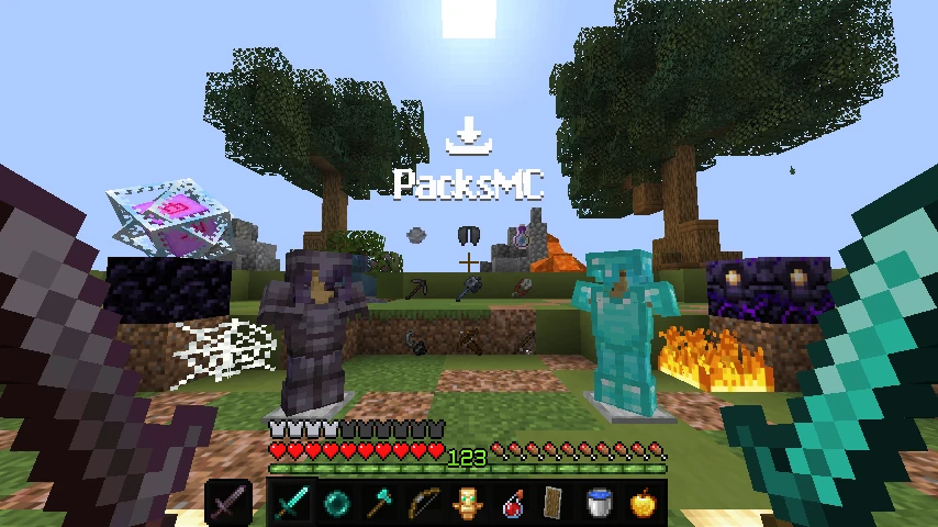xDroxy txt pack SMP Basics !