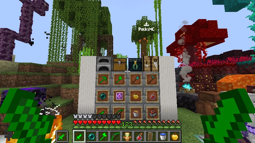 turtle pack: showcase 5 of 5