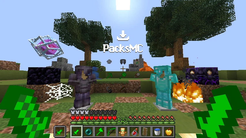 turtle pack