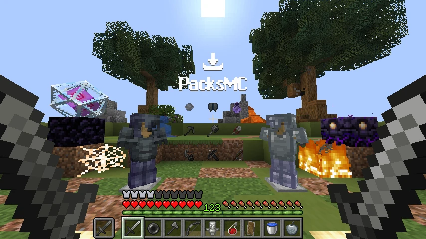 Remy's Pack
