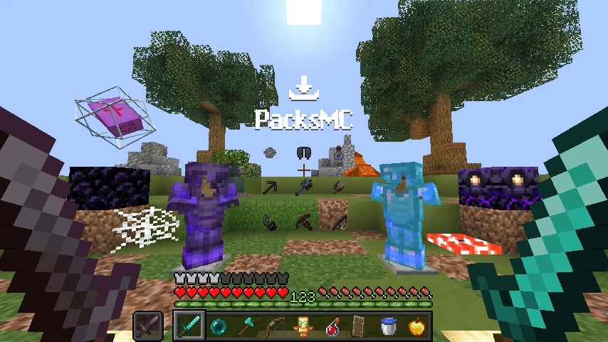 SMP PACK