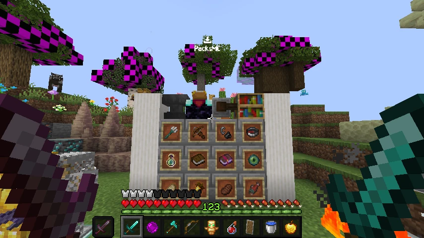 Best SMP 16x: showcase 3 of 5