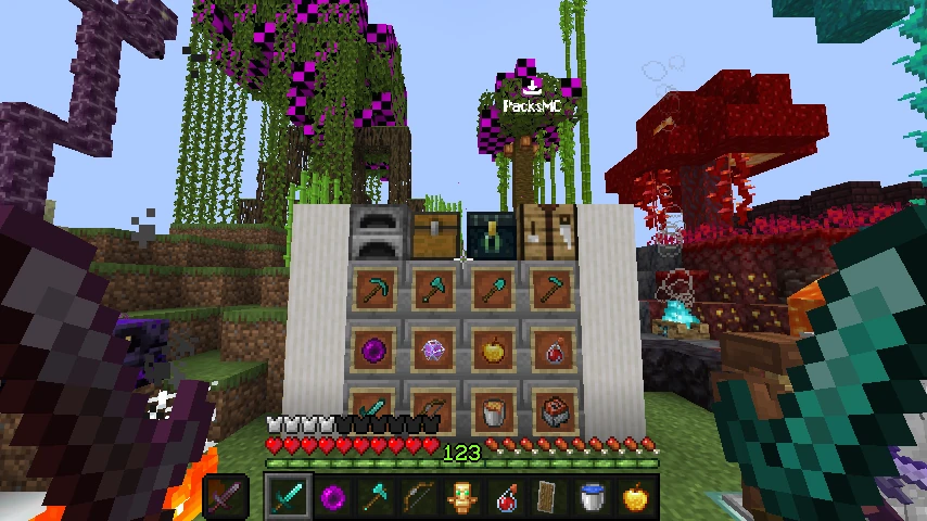 Best SMP 16x: showcase 5 of 5