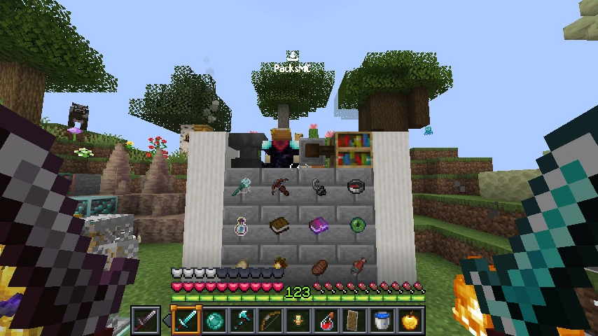 Swqnz Private PvP Pack: showcase 3 of 5