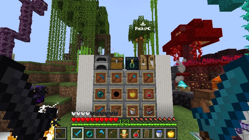 Mizuki Barebones SMP private: showcase 5 of 5