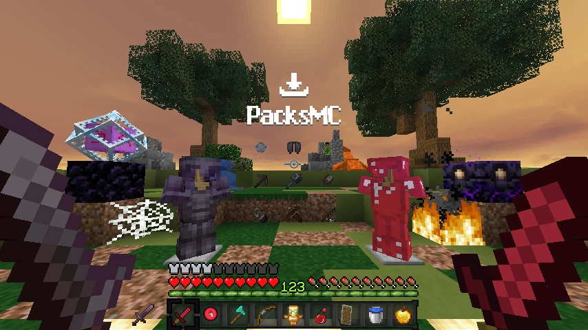 PR4NKSTER PACK