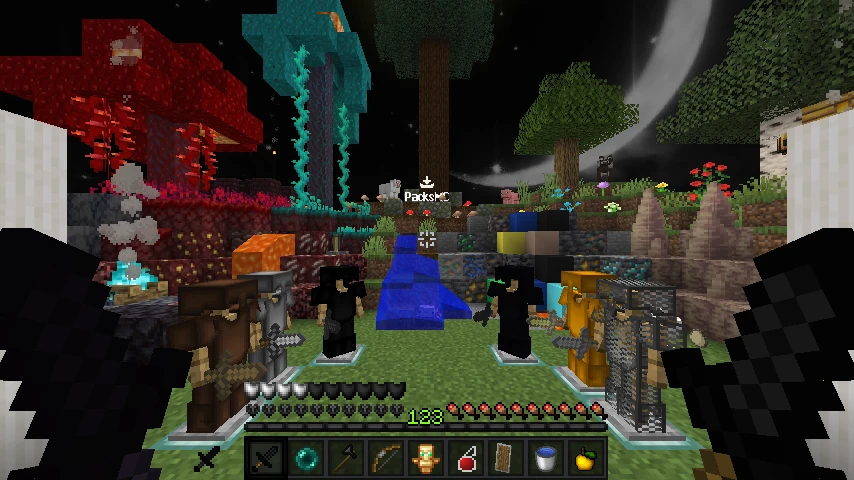 X_SUS: showcase 2 of 5
